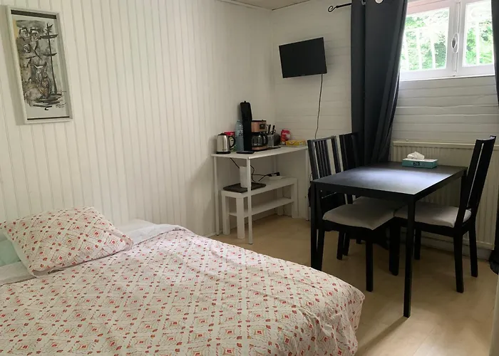 Le Clapot- Les Iris * Saint-Etienne (Loire)