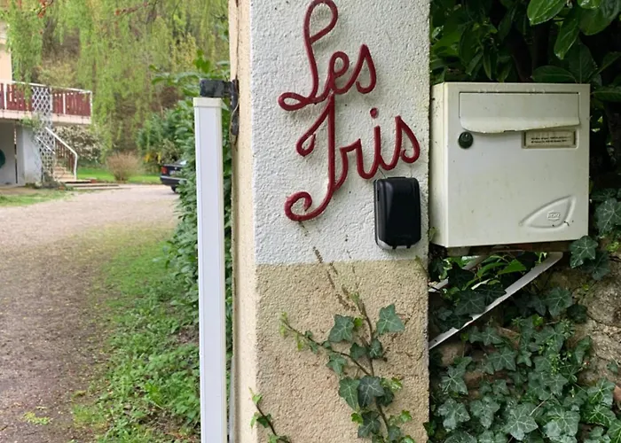 Le Clapot- Les Iris * Saint-Etienne (Loire)