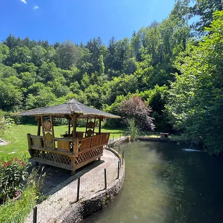 Le Clapot- Les Iris Saint-Etienne (Loire)